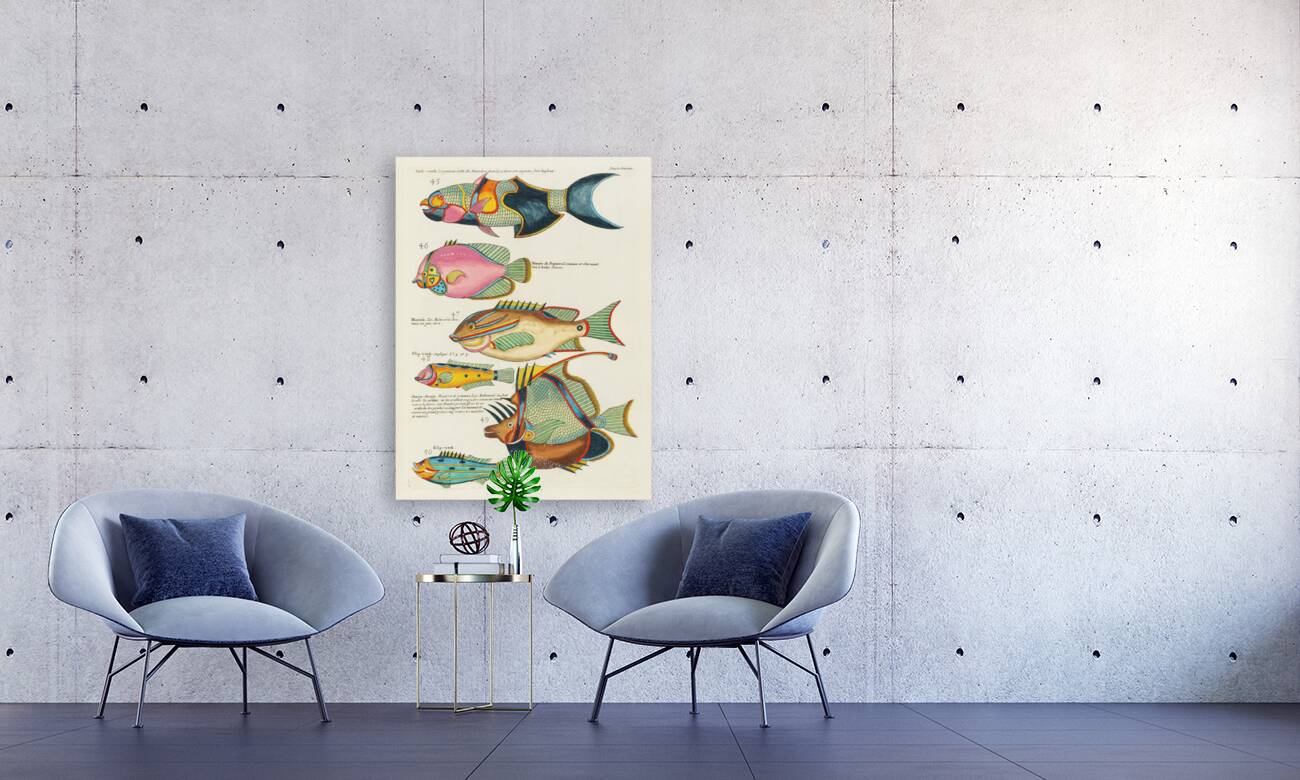 Colourful and surreal illustrations of fishes found in Moluccas Indonesia and the East Indies by Louis Renard 1678 -1746 from Histoire naturelle des plus rares curiositez de la mer des Indes 1754. Reproduction