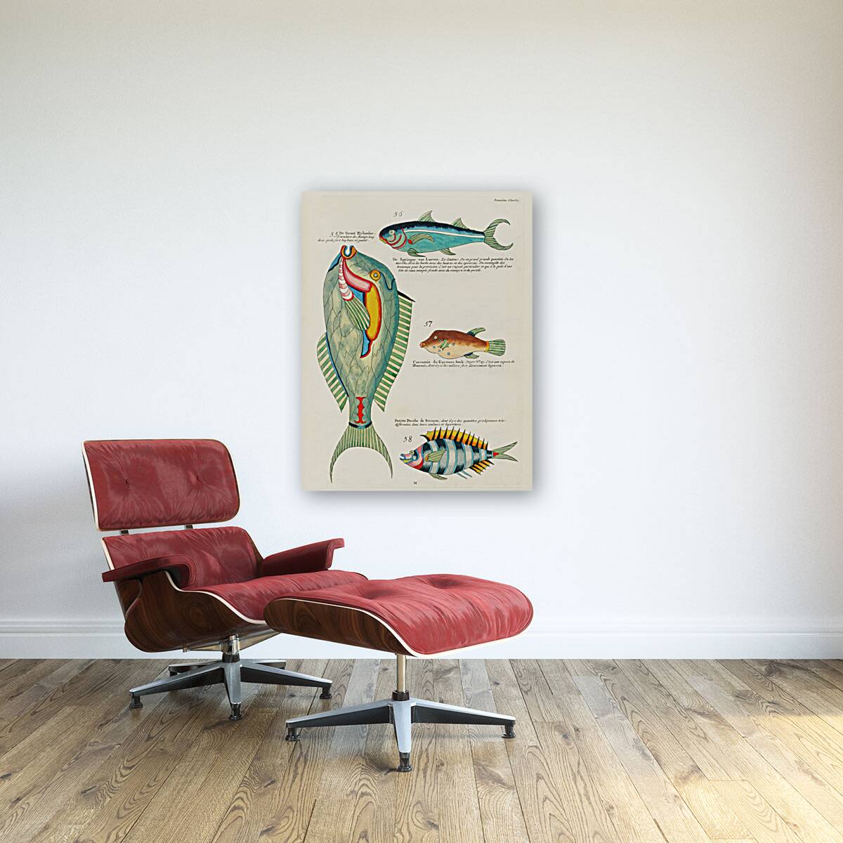 Colourful and surreal illustrations of fishes found in Moluccas Indonesia and the East Indies by Louis Renard 1678 -1746 from Histoire naturelle des plus rares curiositez de la mer des Indes 1754. Reproduction