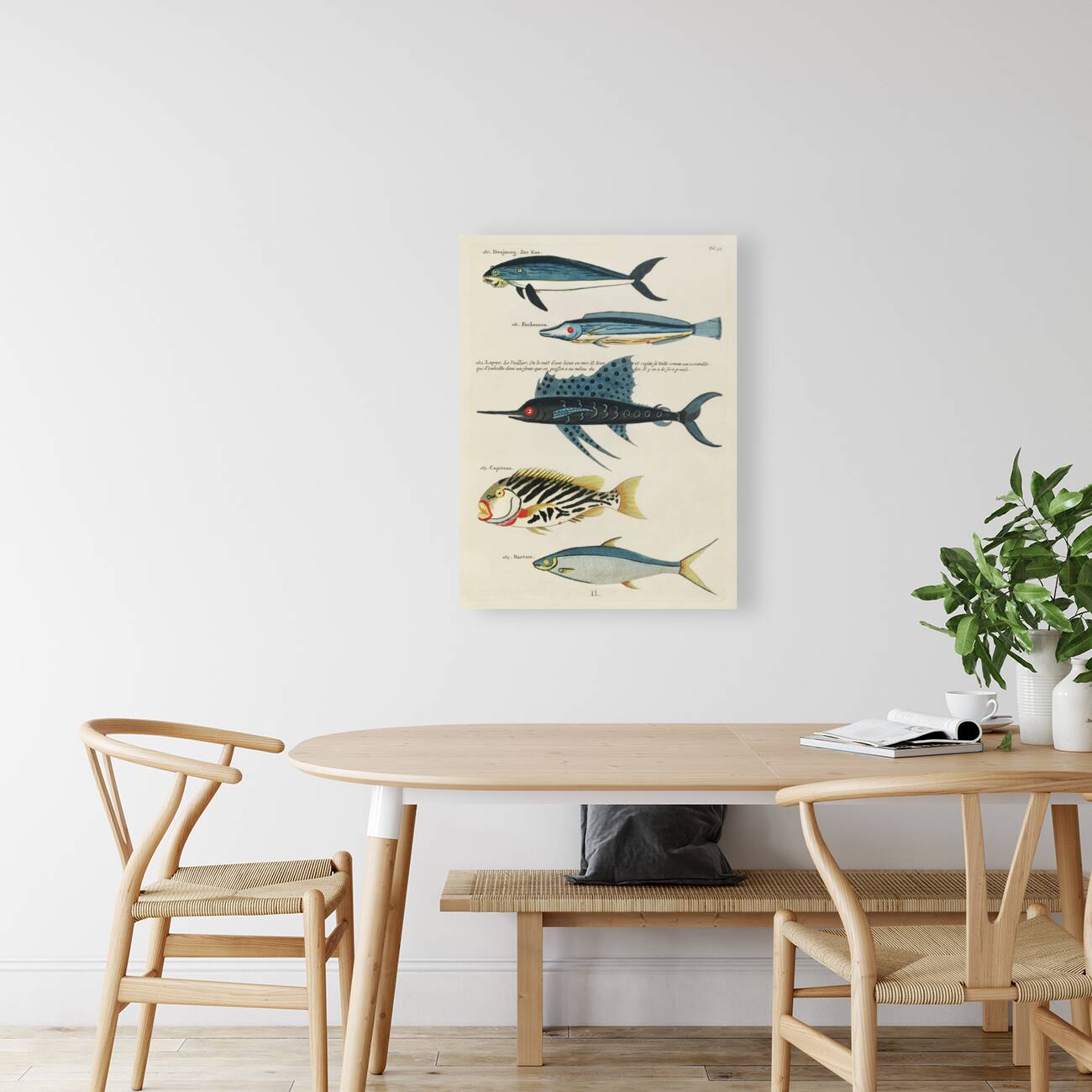 Colourful and surreal illustrations of fishes found in Moluccas Indonesia and the East Indies by Louis Renard 1678 -1746 from Histoire naturelle des plus rares curiositez de la mer des Indes 1754. Reproduction