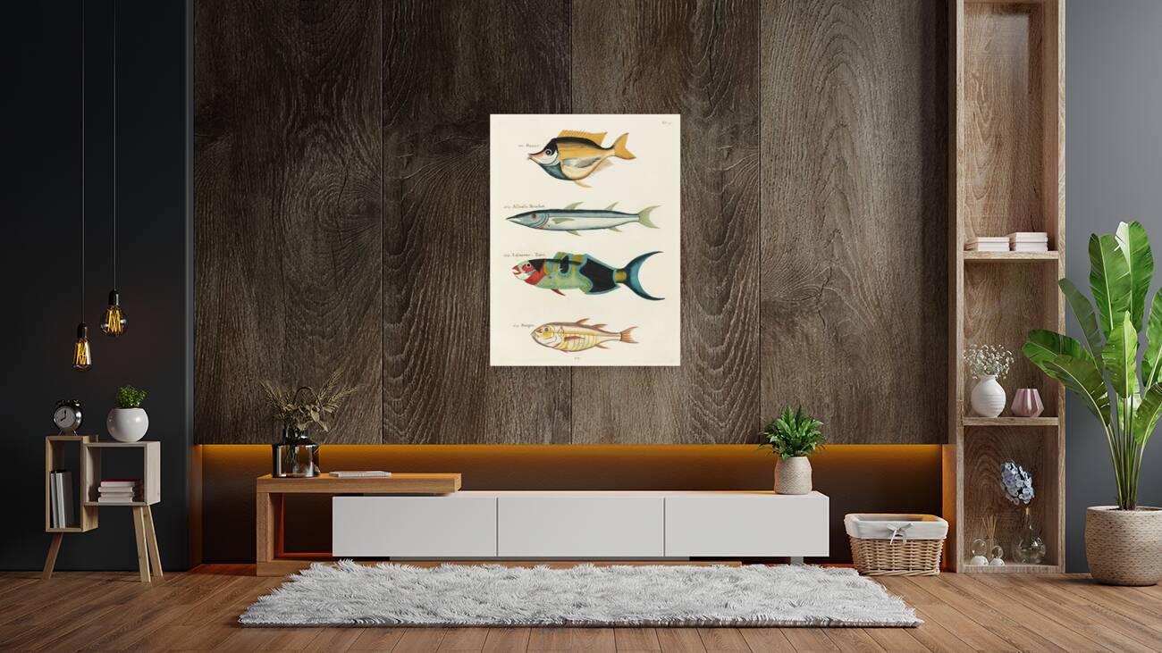 Colourful and surreal illustrations of fishes found in Moluccas Indonesia and the East Indies by Louis Renard 1678 -1746 from Histoire naturelle des plus rares curiositez de la mer des Indes 1754. Reproduction