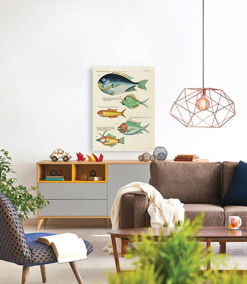 Colourful and surreal illustrations of fishes found in Moluccas Indonesia and the East Indies by Louis Renard 1678 -1746 from Histoire naturelle des plus rares curiositez de la mer des Indes 1754. Reproduction