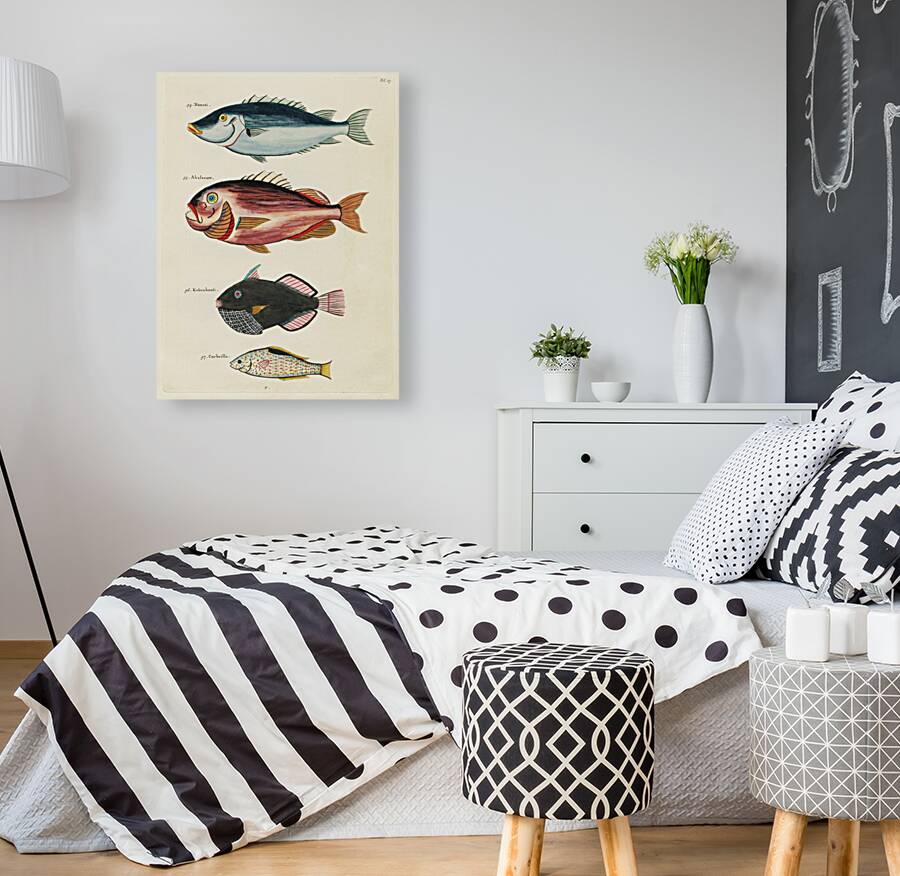 Colourful and surreal illustrations of fishes found in Moluccas Indonesia and the East Indies by Louis Renard 1678 -1746 from Histoire naturelle des plus rares curiositez de la mer des Indes 1754. Reproduction