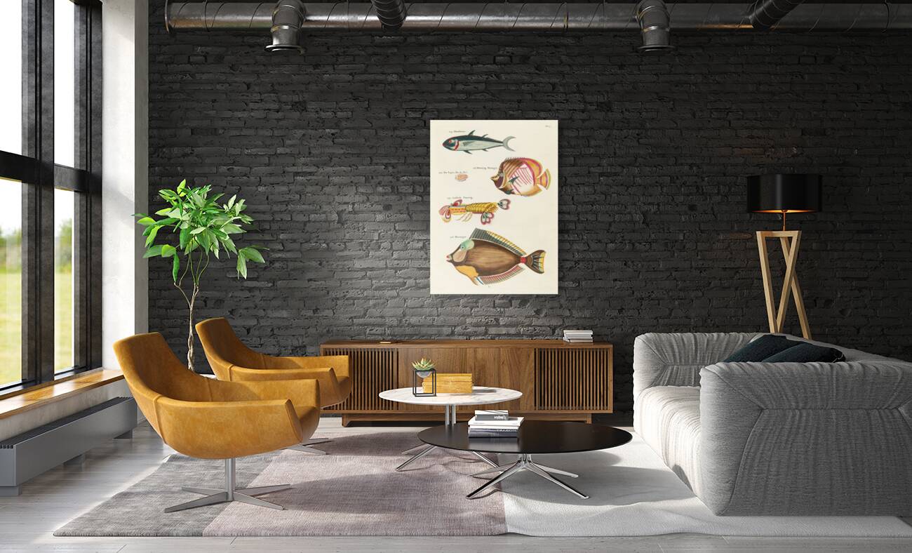 Colourful and surreal illustrations of fishes and lobster found in Moluccas Indonesia and the East Indies by Louis Renard 1678 -1746 from Histoire naturelle des plus rares curiositez de la mer des Indes 1754. Reproduction