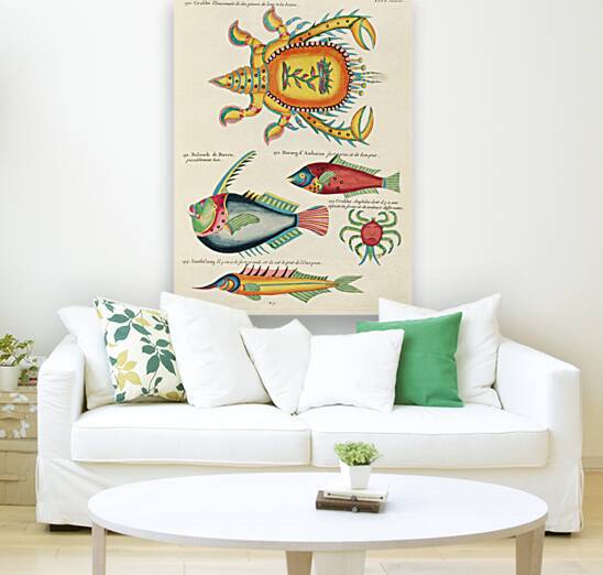 Colourful and surreal illustrations of fishes and lobster found in Moluccas Indonesia and the East Indies by Louis Renard 1678 -1746 from Histoire naturelle des plus rares curiositez de la mer des Indes 1754. Reproduction