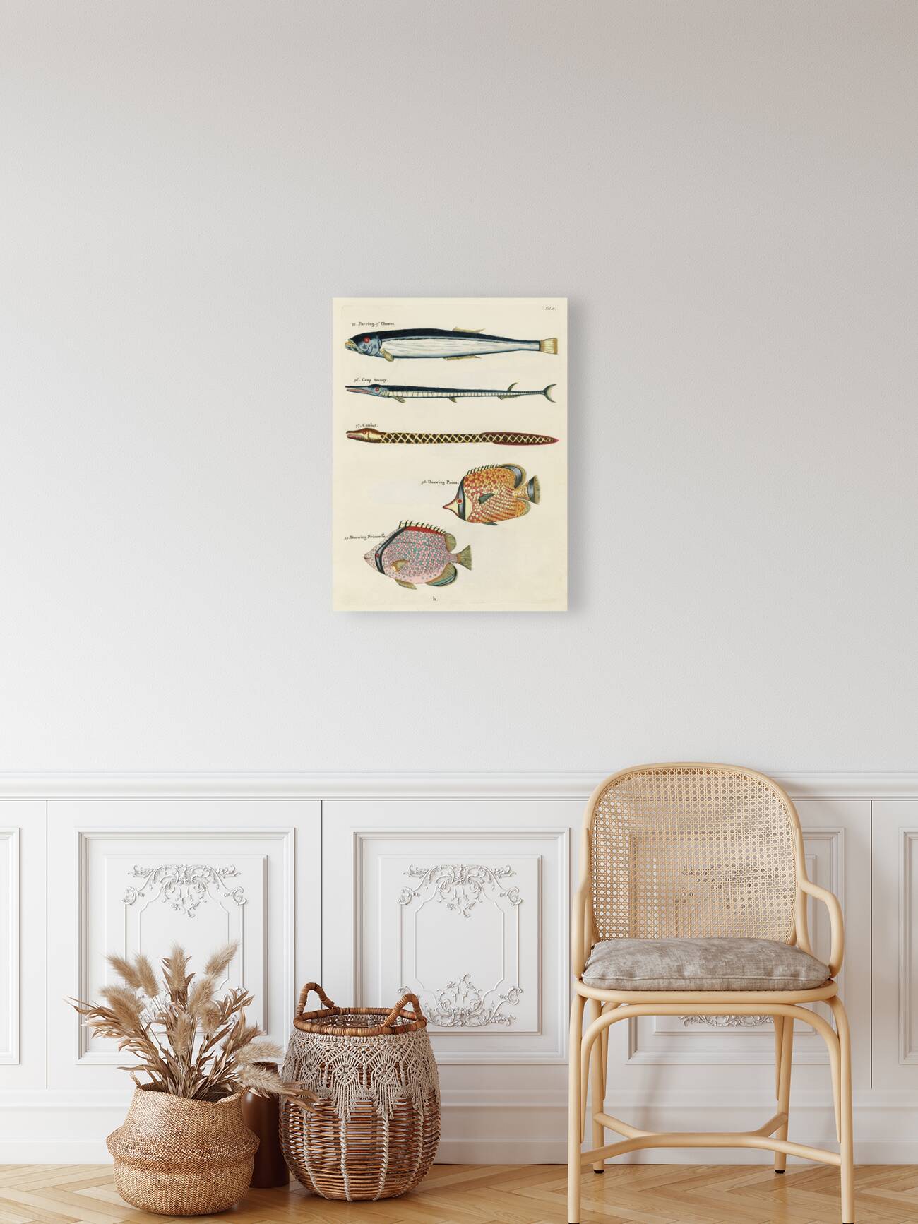 Colourful and surreal illustrations of fishes found in Moluccas Indonesia and the East Indies by Louis Renard 1678 -1746 from Histoire naturelle des plus rares curiositez de la mer des Indes 1754. Reproduction