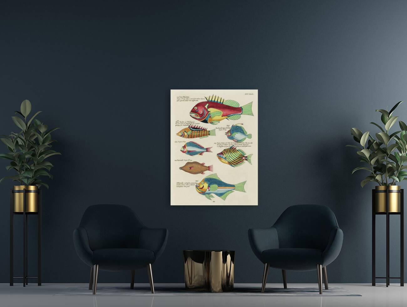 Colourful and surreal illustrations of fishes found in Moluccas Indonesia and the East Indies by Louis Renard 1678 -1746 from Histoire naturelle des plus rares curiositez de la mer des Indes 1754. Reproduction