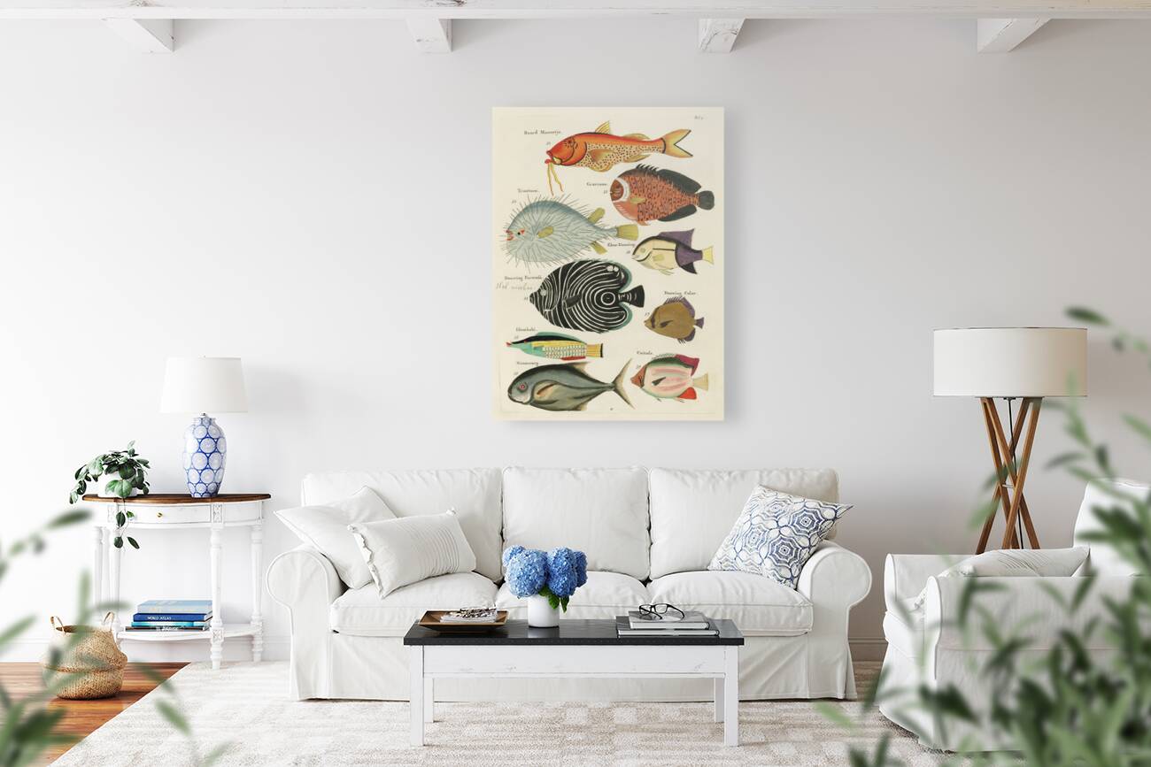 Colourful and surreal illustrations of fishes found in Moluccas Indonesia and the East Indies by Louis Renard 1678 -1746 from Histoire naturelle des plus rares curiositez de la mer des Indes 1754. Reproduction