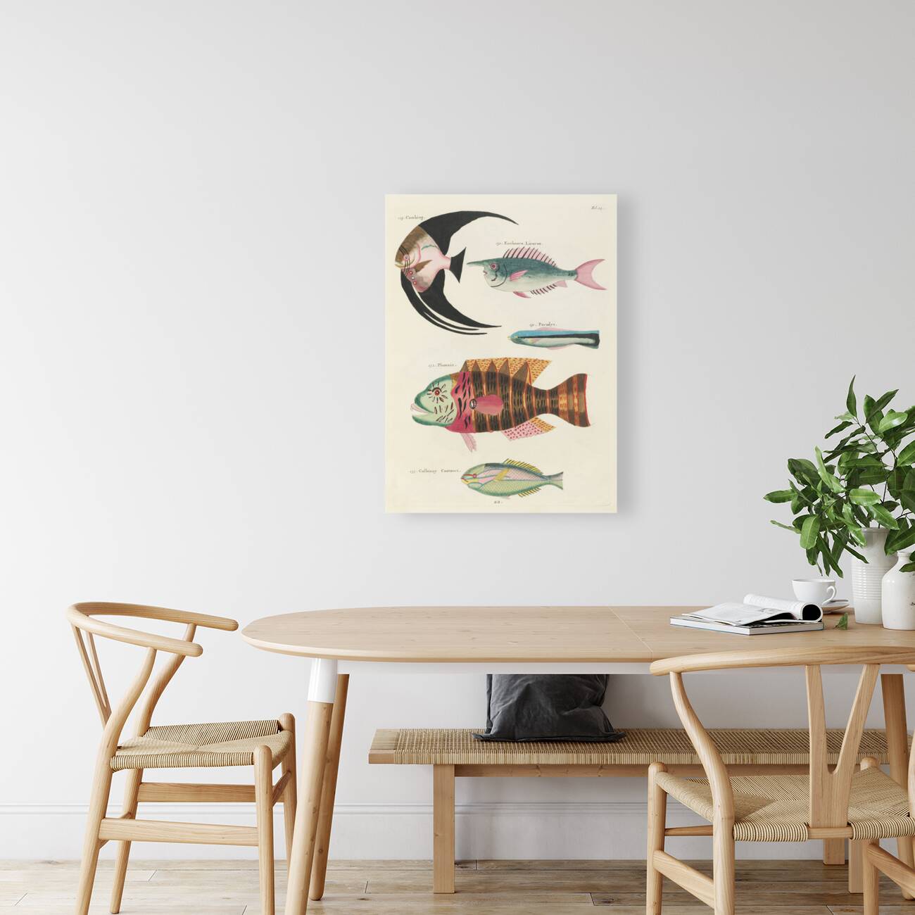 Colourful and surreal illustrations of fishes found in Moluccas Indonesia and the East Indies by Louis Renard 1678 -1746 from Histoire naturelle des plus rares curiositez de la mer des Indes 1754. Reproduction