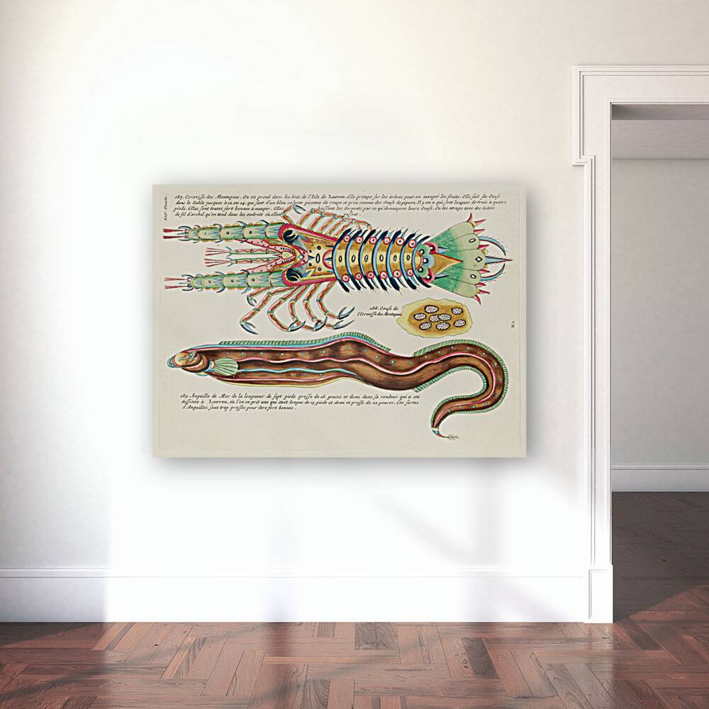 Colourful and surreal illustrations of fish and lobster found in Moluccas Indonesia and the East Indies by Louis Renard 1678 -1746 from Histoire naturelle des plus rares curiositez de la mer des Indes 1754. Reproduction