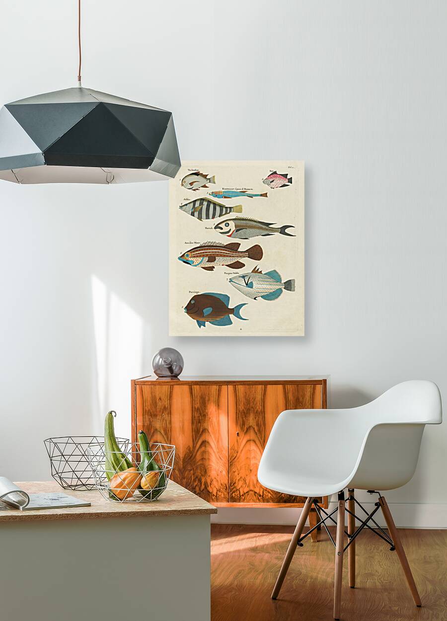 Colourful and surreal illustrations of fishes found in Moluccas Indonesia and the East Indies by Louis Renard 1678 -1746 from Histoire naturelle des plus rares curiositez de la mer des Indes 1754. Reproduction