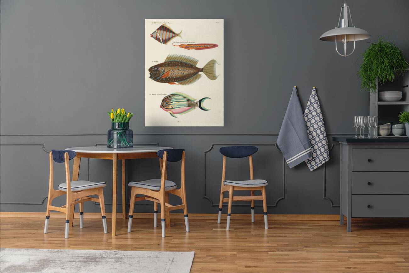 Colourful and surreal illustrations of fishes found in Moluccas Indonesia and the East Indies by Louis Renard 1678 -1746 from Histoire naturelle des plus rares curiositez de la mer des Indes 1754. Reproduction