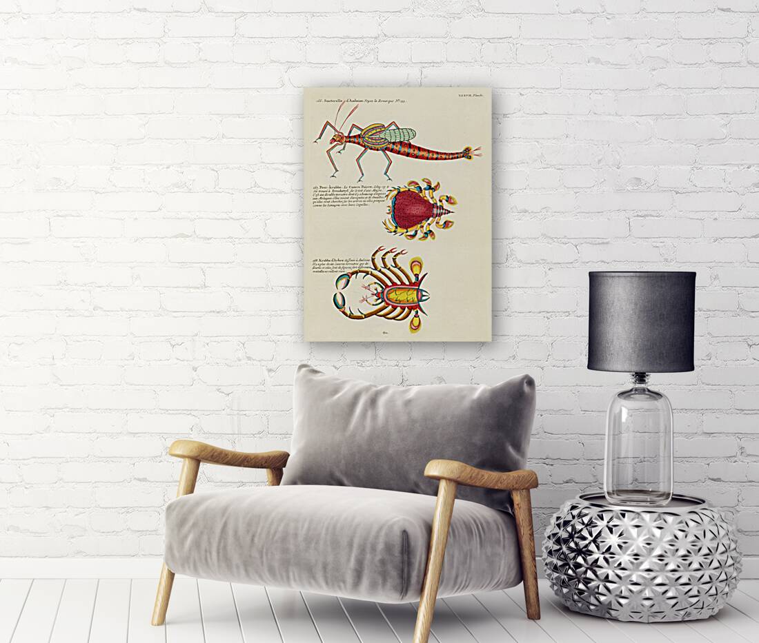 Colourful and surreal illustrations of fishes and crabs found in Moluccas Indonesia and the East Indies by Louis Renard 1678 -1746 from Histoire naturelle des plus rares curiositez de la mer des Indes 1754. Reproduction