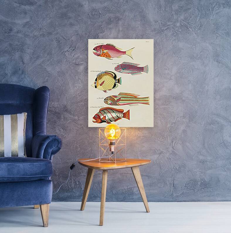 Colourful and surreal illustrations of fishes found in Moluccas Indonesia and the East Indies by Louis Renard 1678 -1746 from Histoire naturelle des plus rares curiositez de la mer des Indes 1754. Reproduction