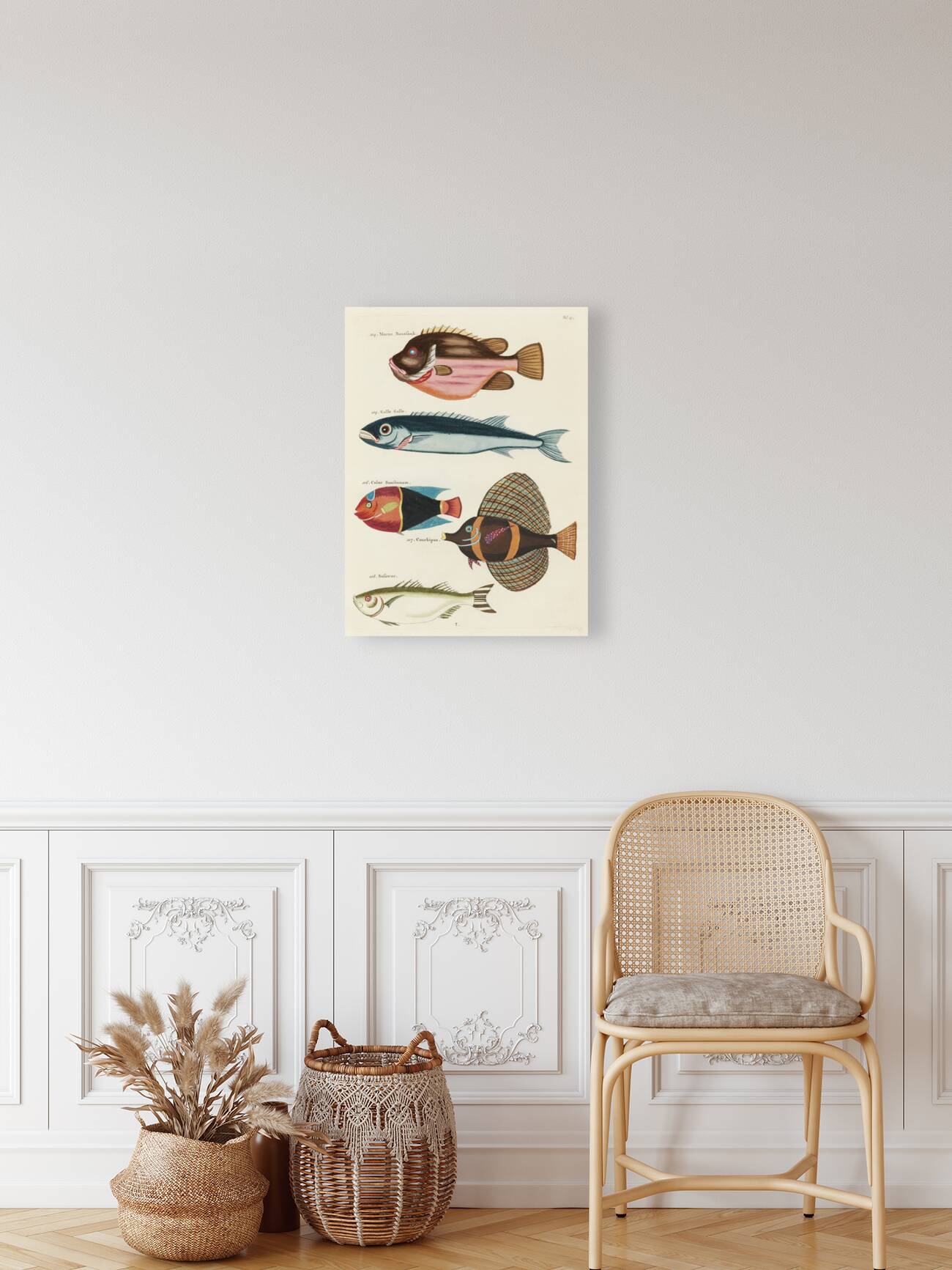 Colourful and surreal illustrations of fishes found in Moluccas Indonesia and the East Indies by Louis Renard 1678 -1746 from Histoire naturelle des plus rares curiositez de la mer des Indes 1754. Reproduction