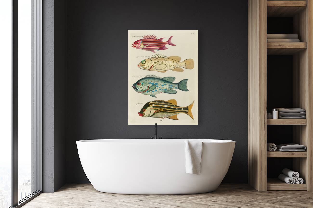 Colourful and surreal illustrations of fishes found in Moluccas Indonesia and the East Indies by Louis Renard 1678 -1746 from Histoire naturelle des plus rares curiositez de la mer des Indes 1754. Reproduction