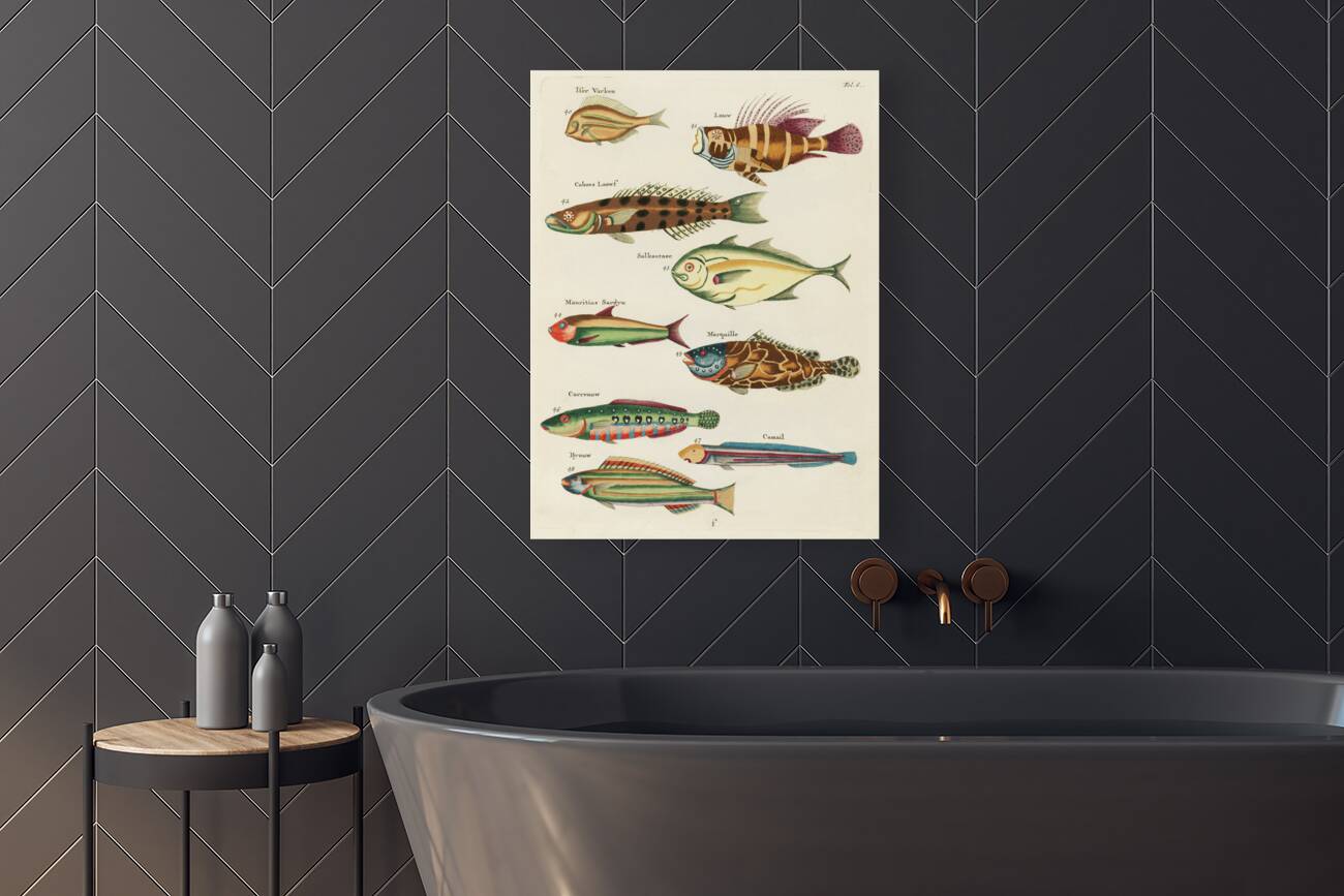 Colourful and surreal illustrations of fishes found in Moluccas Indonesia and the East Indies by Louis Renard 1678 -1746 from Histoire naturelle des plus rares curiositez de la mer des Indes 1754. Reproduction