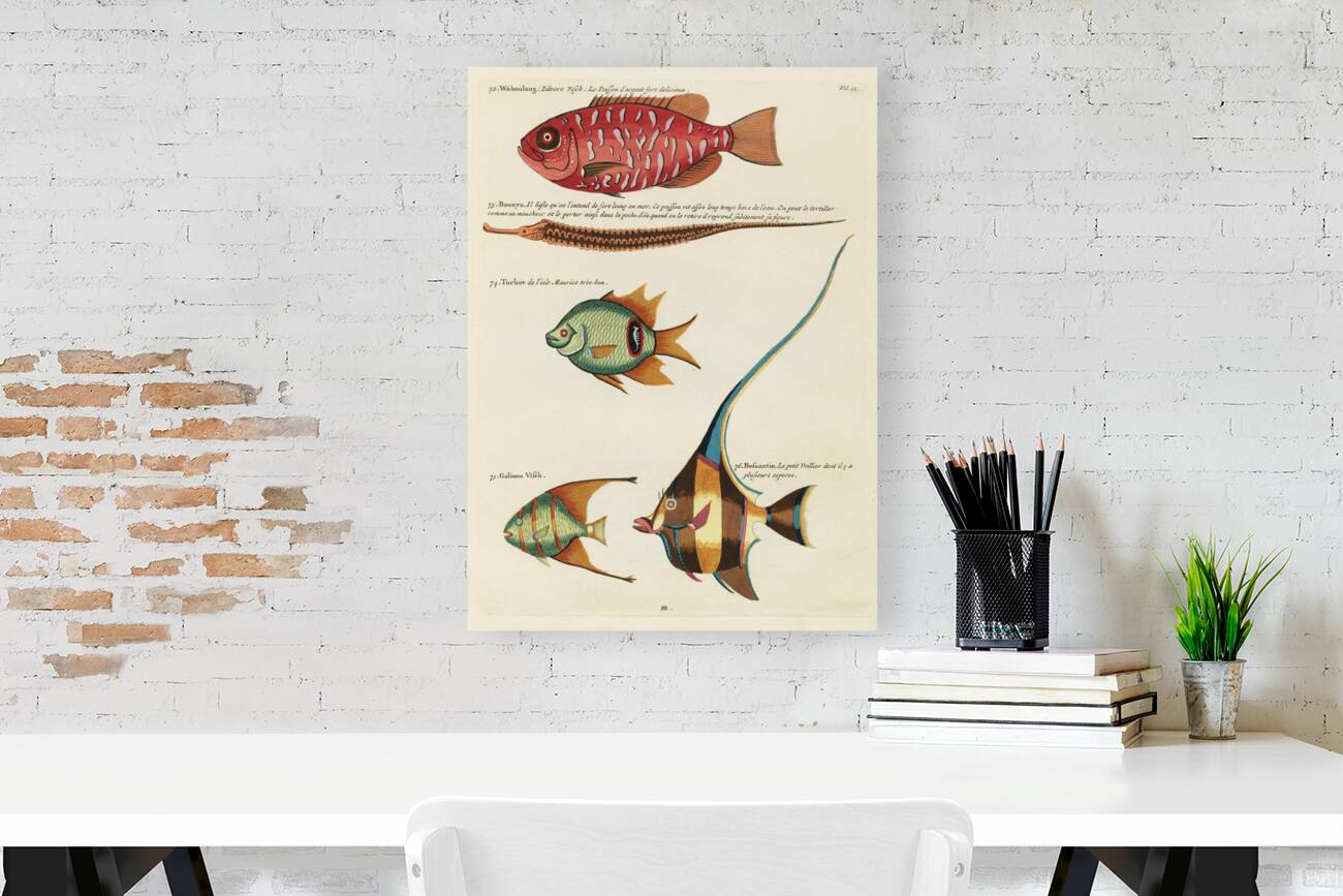 Colourful and surreal illustrations of fishes found in Moluccas Indonesia and the East Indies by Louis Renard 1678 -1746 from Histoire naturelle des plus rares curiositez de la mer des Indes 1754. Reproduction