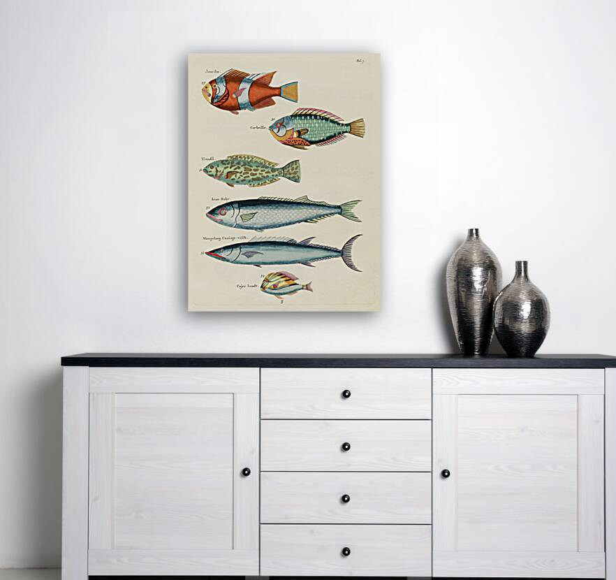 Colourful and surreal illustrations of fishes found in Moluccas Indonesia and the East Indies by Louis Renard 1678 -1746 from Histoire naturelle des plus rares curiositez de la mer des Indes 1754. Reproduction