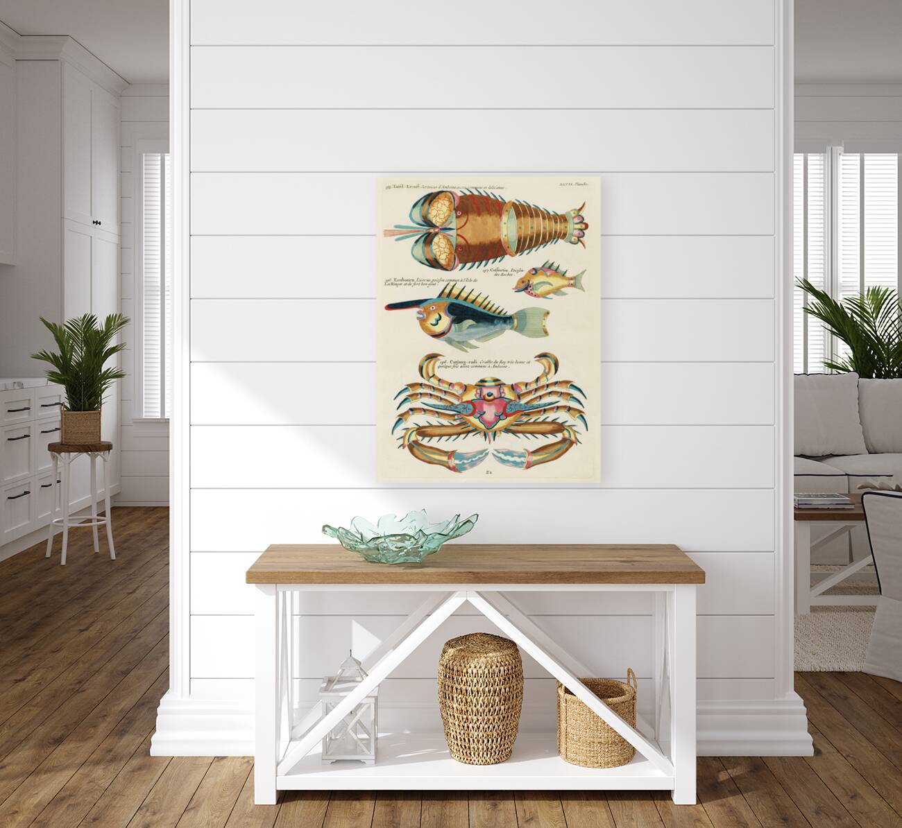 Colourful and surreal illustrations of fishes lobster and crab found in the Indian and Pacific Oceans by Louis Renard 1678 -1746 from Histoire naturelle des plus rares curiositez de la mer des Indes 1754. Reproduction