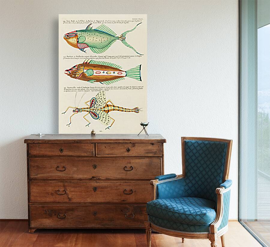 Colourful and surreal illustrations of fishes found in Moluccas Indonesia and the East Indies by Louis Renard 1678 -1746 from Histoire naturelle des plus rares curiositez de la mer des Indes 1754. Reproduction