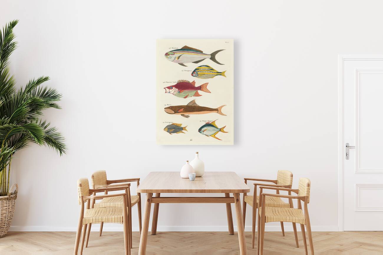 Colourful and surreal illustrations of fishes found in Moluccas Indonesia and the East Indies by Louis Renard 1678 -1746 from Histoire naturelle des plus rares curiositez de la mer des Indes 1754. Reproduction