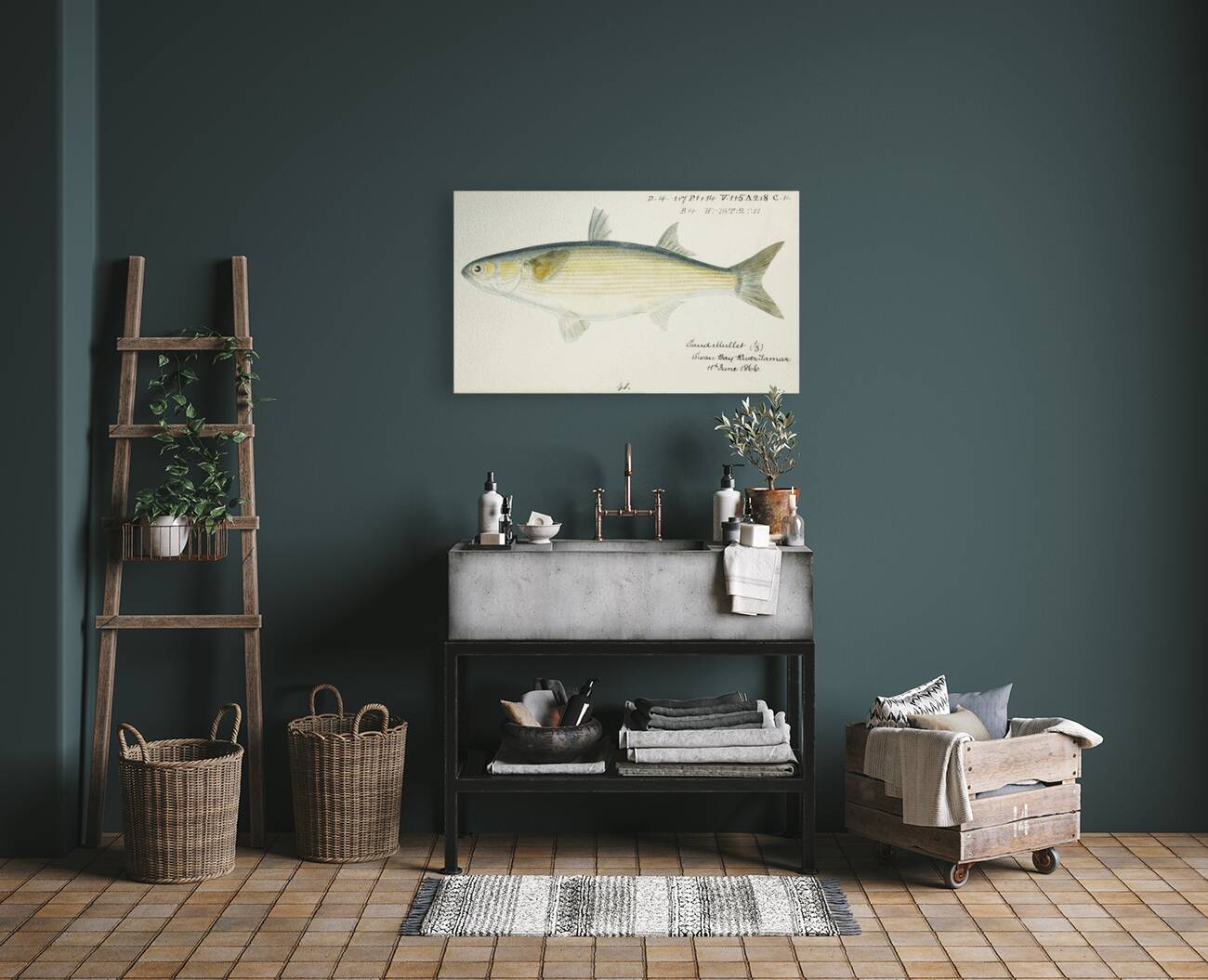 Antique fish myxus elongatus sand mullet South Pacific Fishes by Frank Edward Clarke 1849-1899.  Reproduction