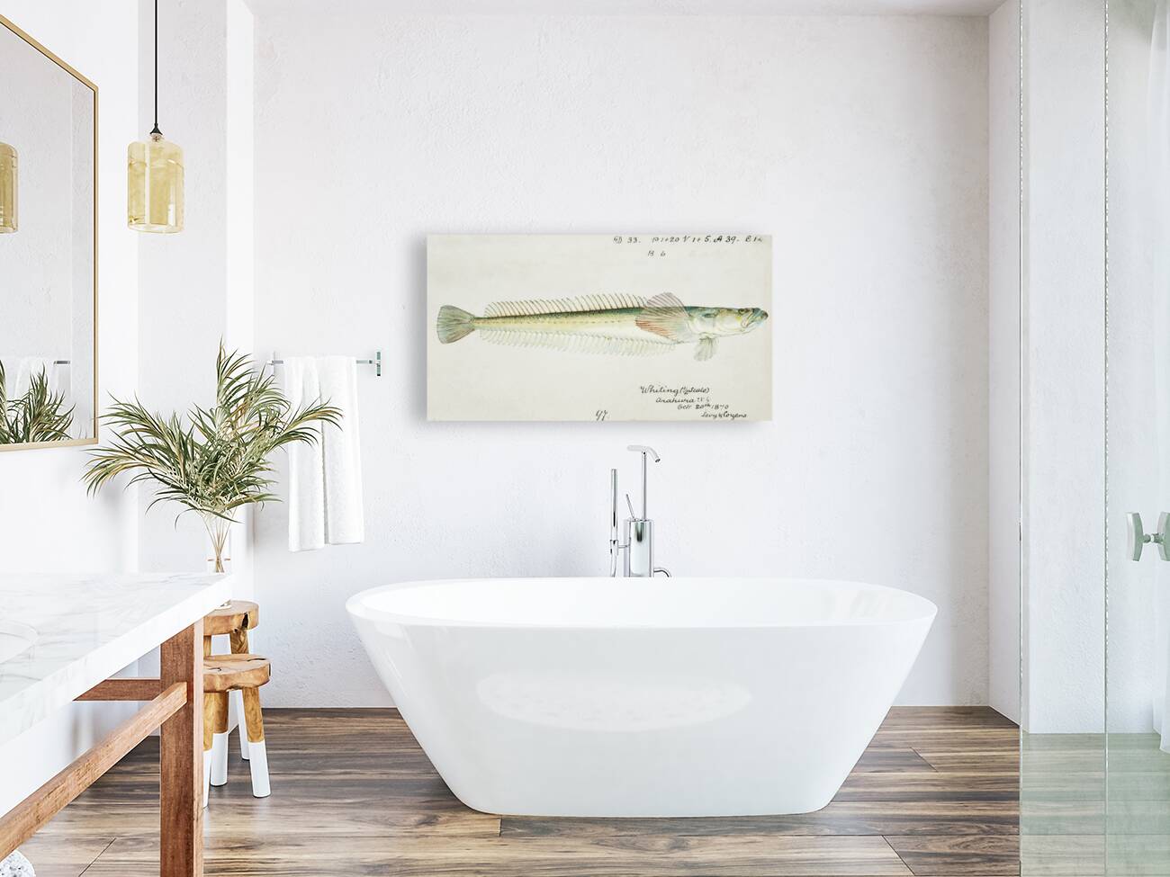 Antique fish crapatulus novaezealandiae sand stargazer South Pacific Fishes by Frank Edward Clarke 1849-1899.  Reproduction