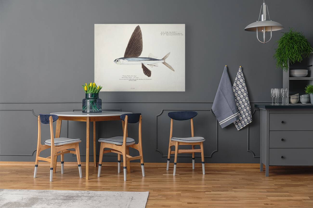 Antique Flyfish South Pacific Fishes by Frank Edward Clarke 1849-1899.  Reproduction