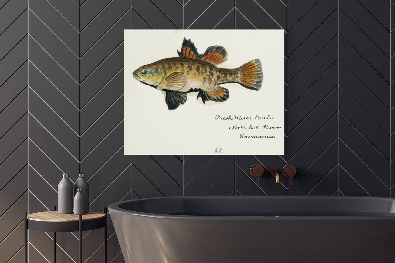 Antique Flyfish South Pacific Fishes by Frank Edward Clarke 1849-1899.  Reproduction