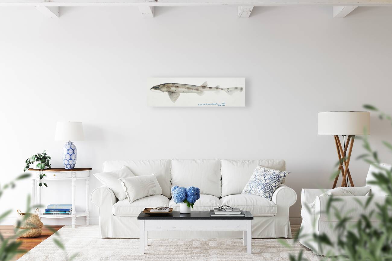 Antique fish Carpet Shark South Pacific Fishes by Frank Edward Clarke 1849-1899.  Reproduction