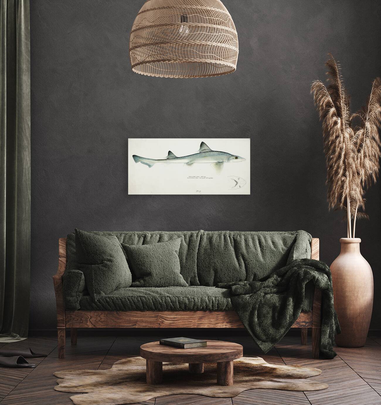 Antique fish Mustelus Antarcticus shark South Pacific Fishes by Frank Edward Clarke 1849-1899.  Reproduction