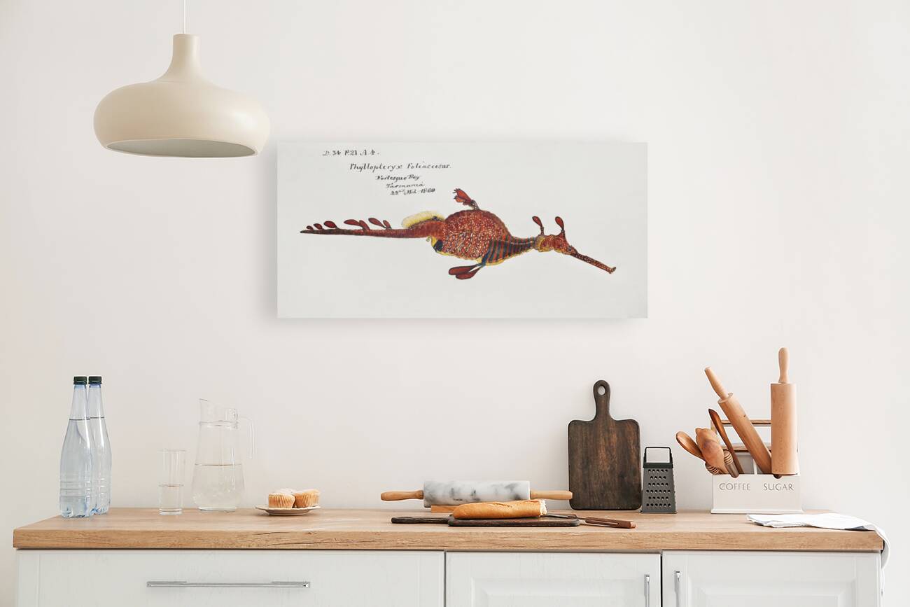 Antique fish phyllopteryx taeniolatus South Pacific Fishes by Frank Edward Clarke 1849-1899.  Reproduction