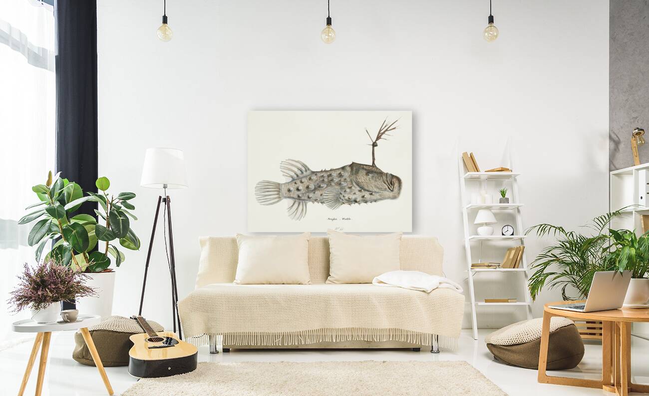 Antique Prickly anglerfish South Pacific Fishes by Frank Edward Clarke 1849-1899.  Reproduction