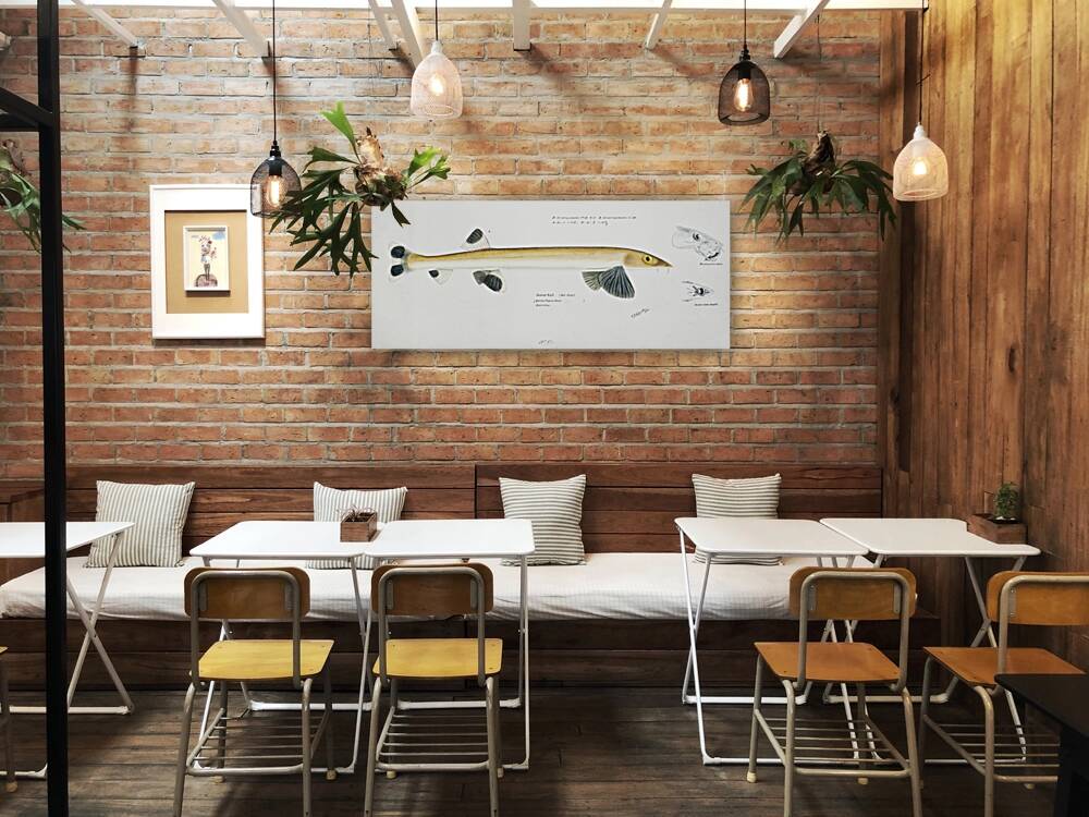 Antique fish gonorynchus fosteri sand fish South Pacific Fishes by Frank Edward Clarke 1849-1899.  Reproduction