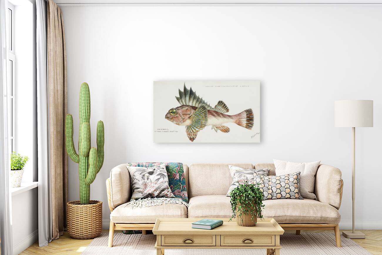 Antique fish neosebastes scorpaenoides ruddy gurnard perch South Pacific Fishes by Frank Edward Clarke 1849-1899.  Reproduction