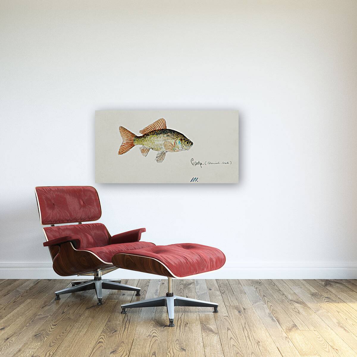 Antique fish Goldfish South Pacific Fishes by Frank Edward Clarke 1849-1899.  Reproduction