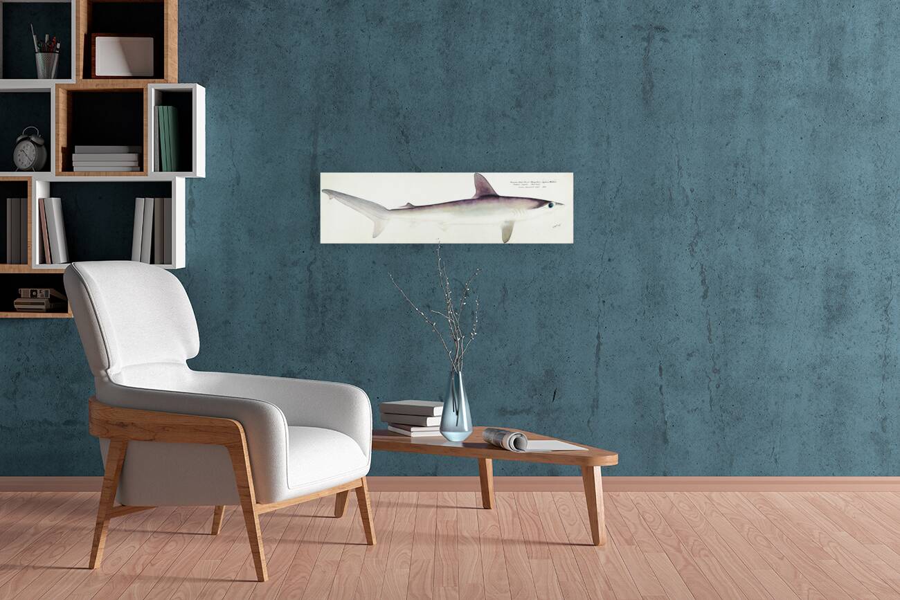 Antique fish South Pacific Fishes by Frank Edward Clarke 1849-1899.  Reproduction