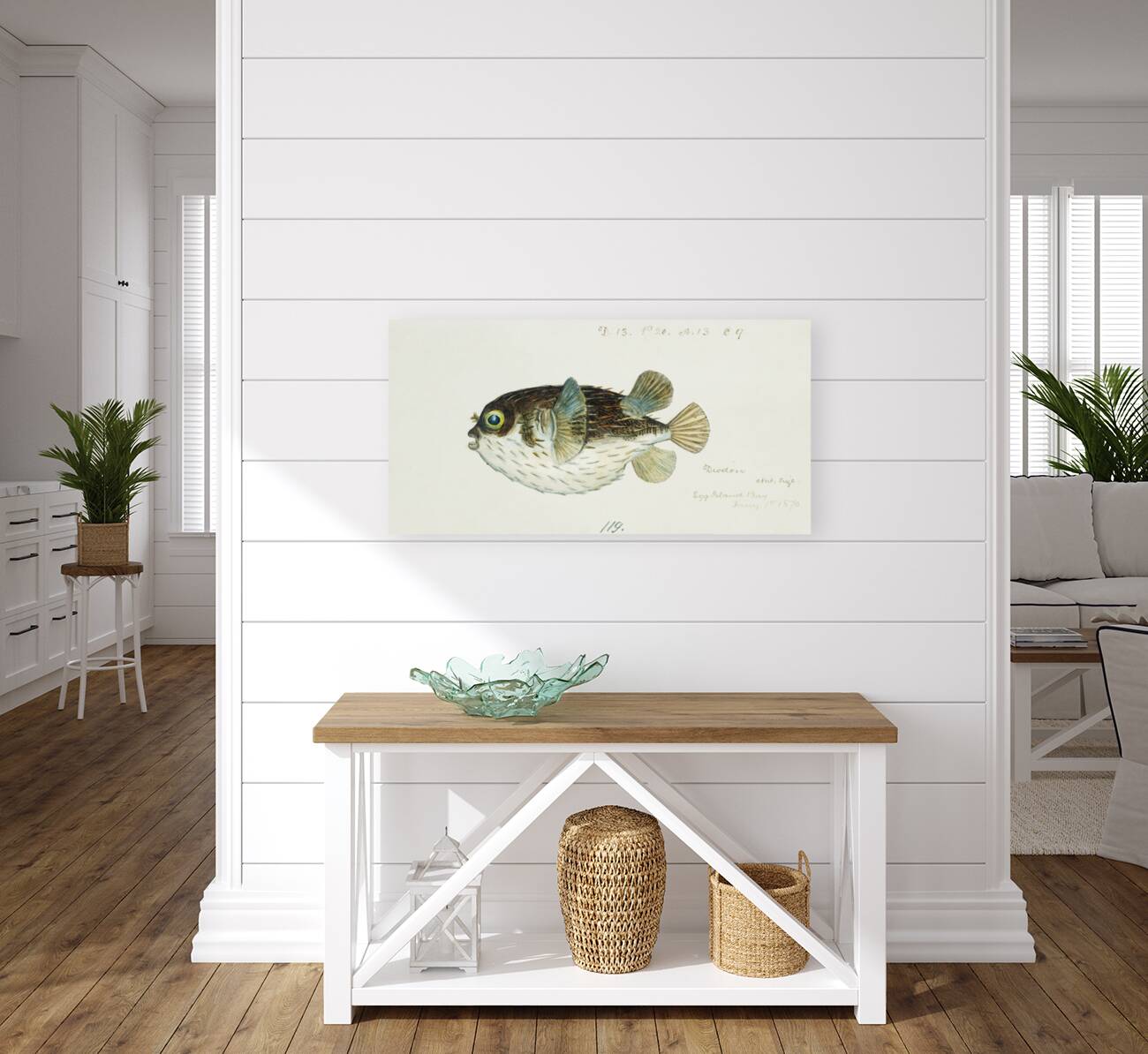 Antique fish diodon sp porcupine fish South Pacific Fishes by Frank Edward Clarke 1849-1899.  Reproduction