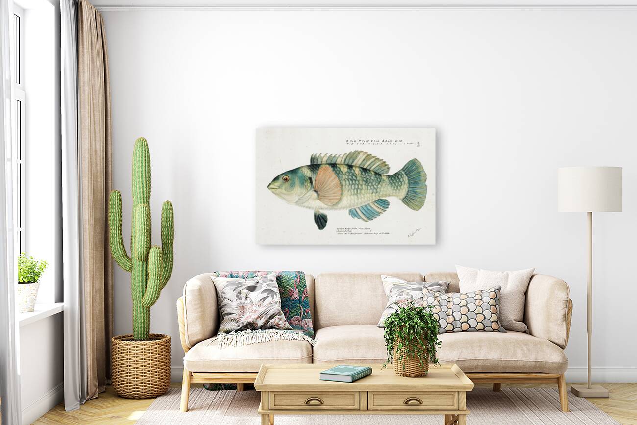 Antique fish Wrasse South Pacific Fishes by Frank Edward Clarke 1849-1899.  Reproduction