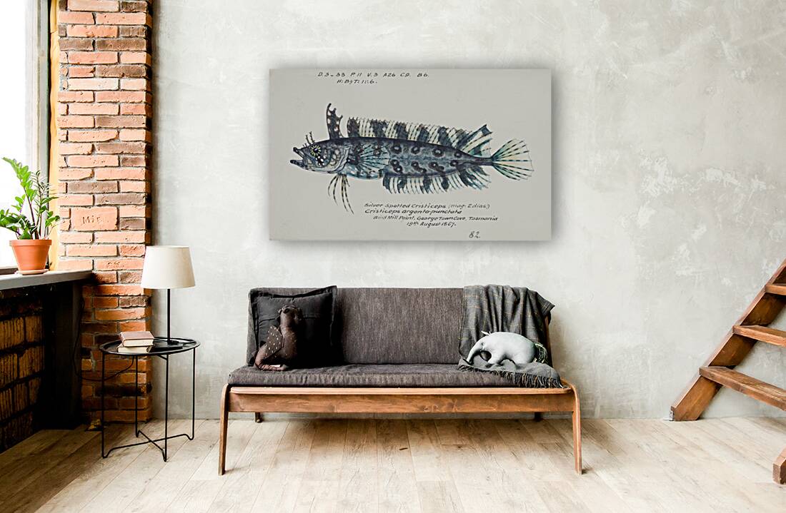 Antique fish possibly cristiceps sp weedfish South Pacific Fishes by Frank Edward Clarke 1849-1899.  Reproduction