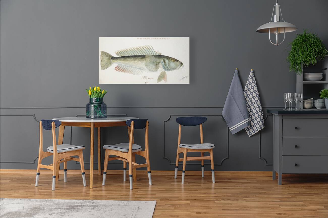 Antique fish Parapercis colias South Pacific Fishes by Frank Edward Clarke 1849-1899.  Reproduction