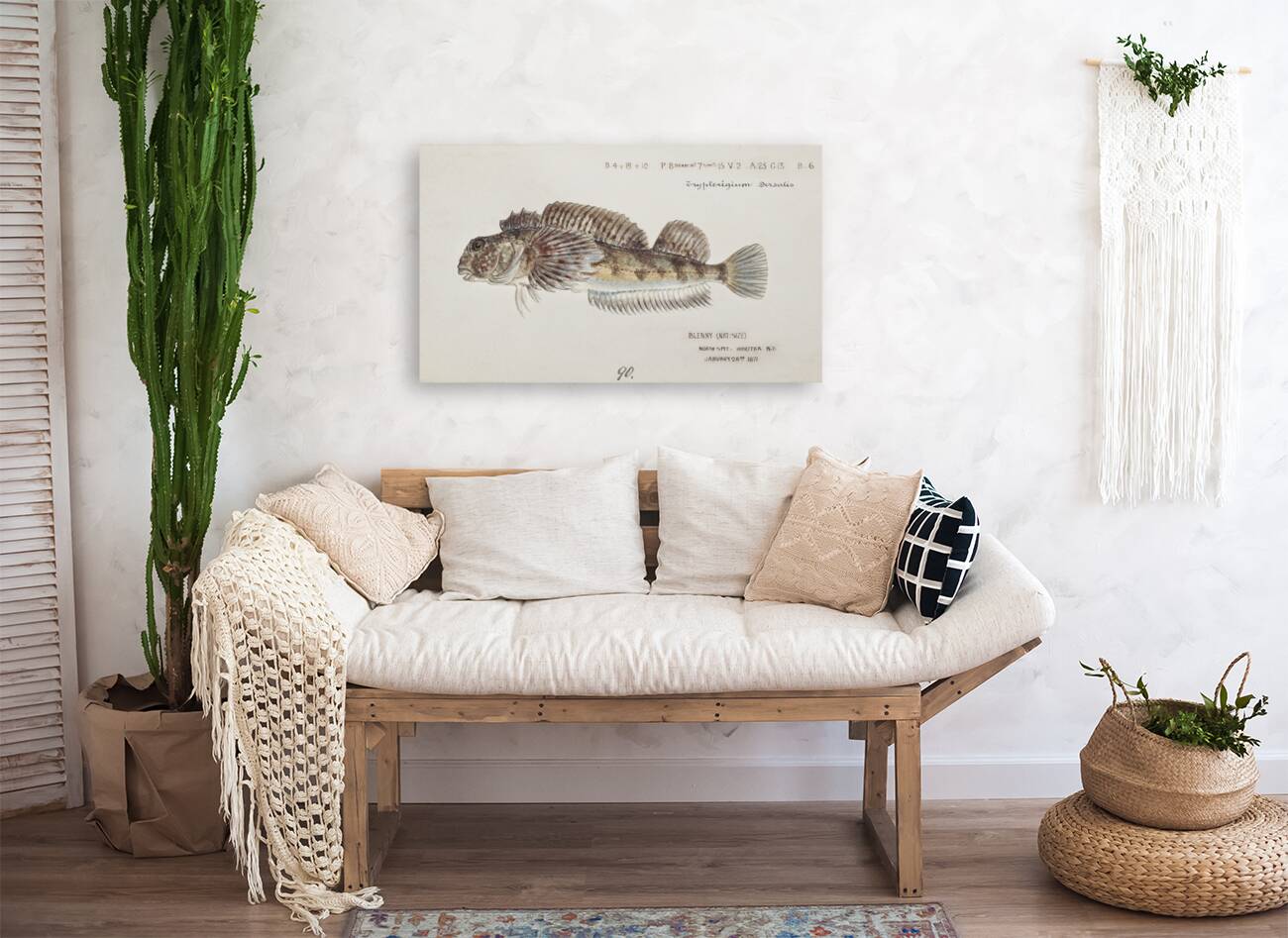 Antique fish Blennodon dorsale Giant triplefin South Pacific Fishes by Frank Edward Clarke 1849-1899.  Reproduction