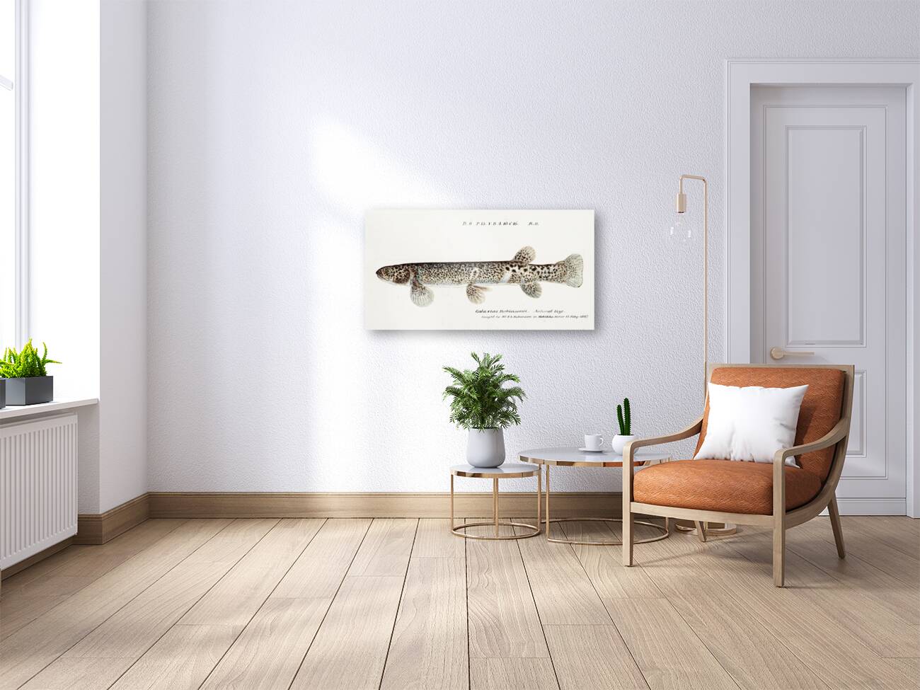 Antique Climbing Galaxias South Pacific Fishes by Frank Edward Clarke 1849-1899.  Reproduction