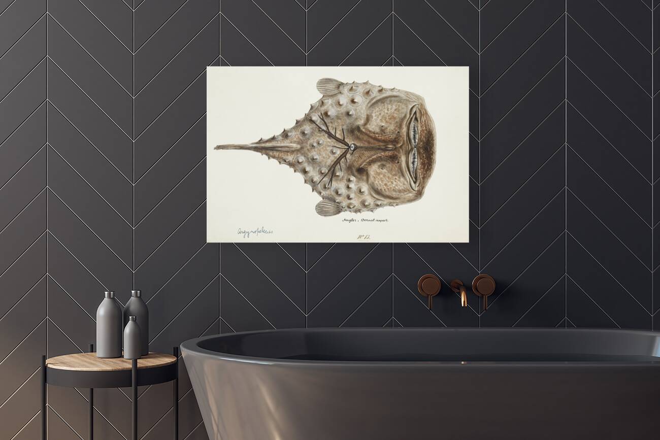 Antique Prickly anglerfish South Pacific Fishes by Frank Edward Clarke 1849-1899.  Reproduction