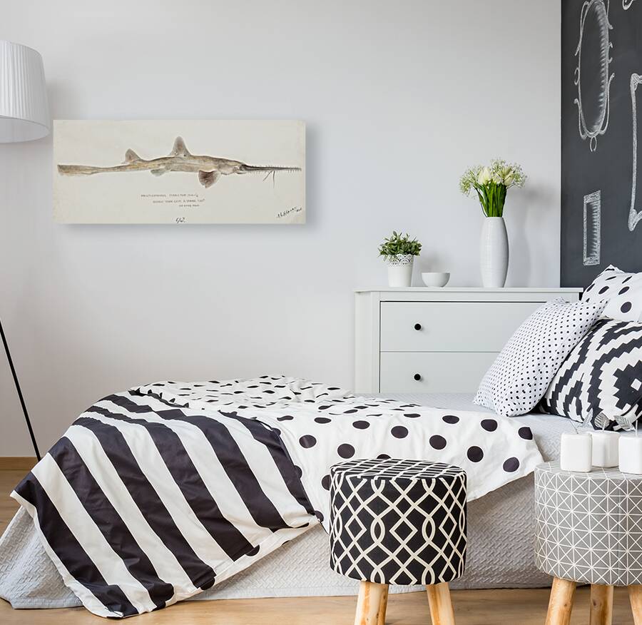 Antique fish pristiophorus nudipinnis South Pacific Fishes by Frank Edward Clarke 1849-1899.  Reproduction