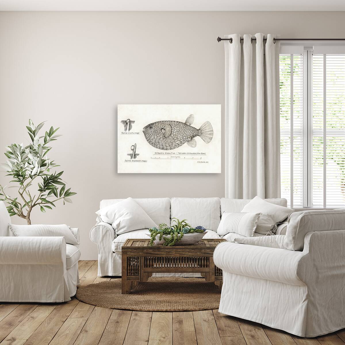 Antique Gillbanks Globe fish South Pacific Fishes by Frank Edward Clarke 1849-1899.  Reproduction