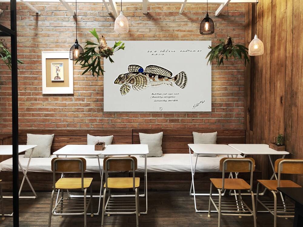 Antique Thornfish South Pacific Fishes by Frank Edward Clarke 1849-1899.  Reproduction