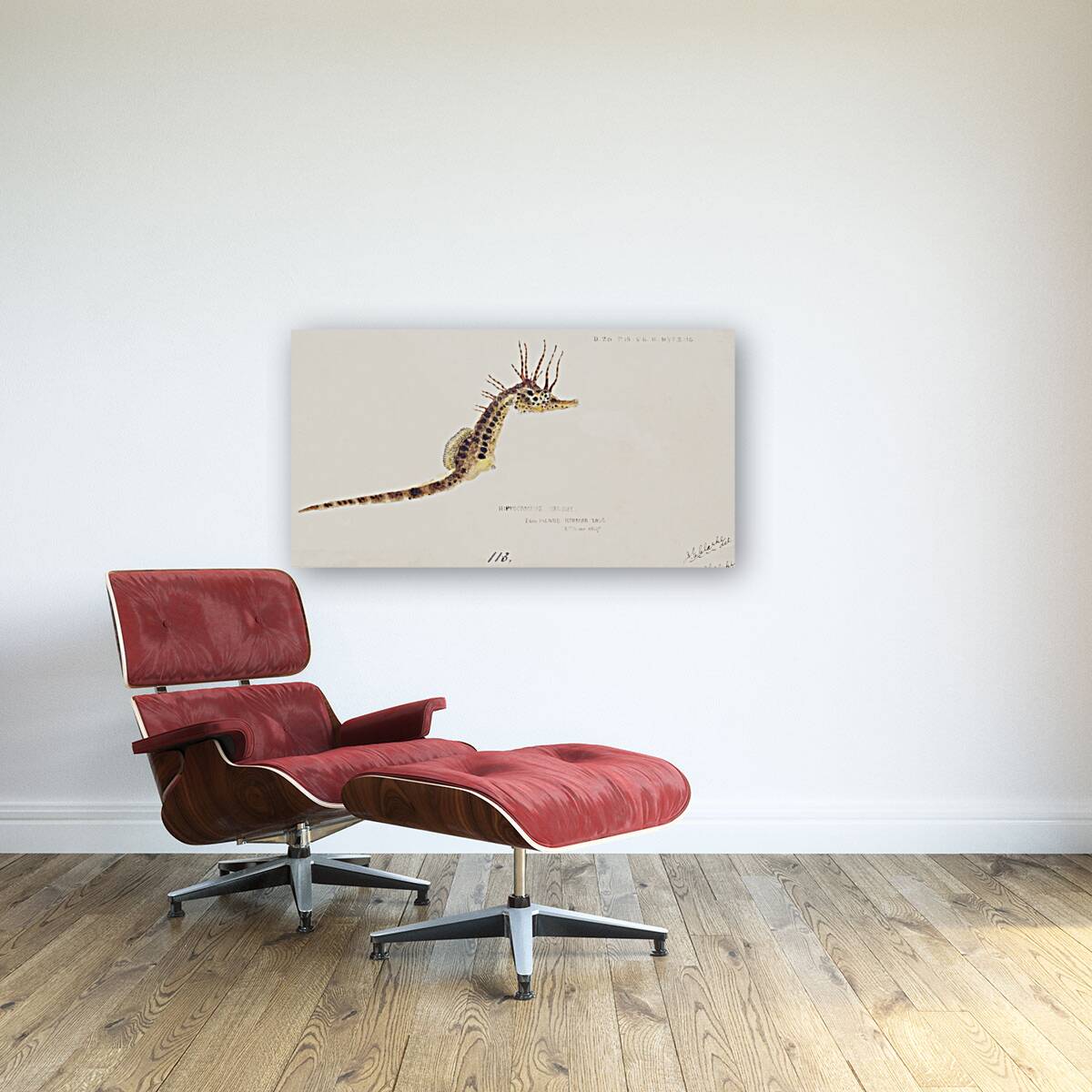 Antique fish hippocampus abdominalis seahorse South Pacific Fishes by Frank Edward Clarke 1849-1899.  Reproduction