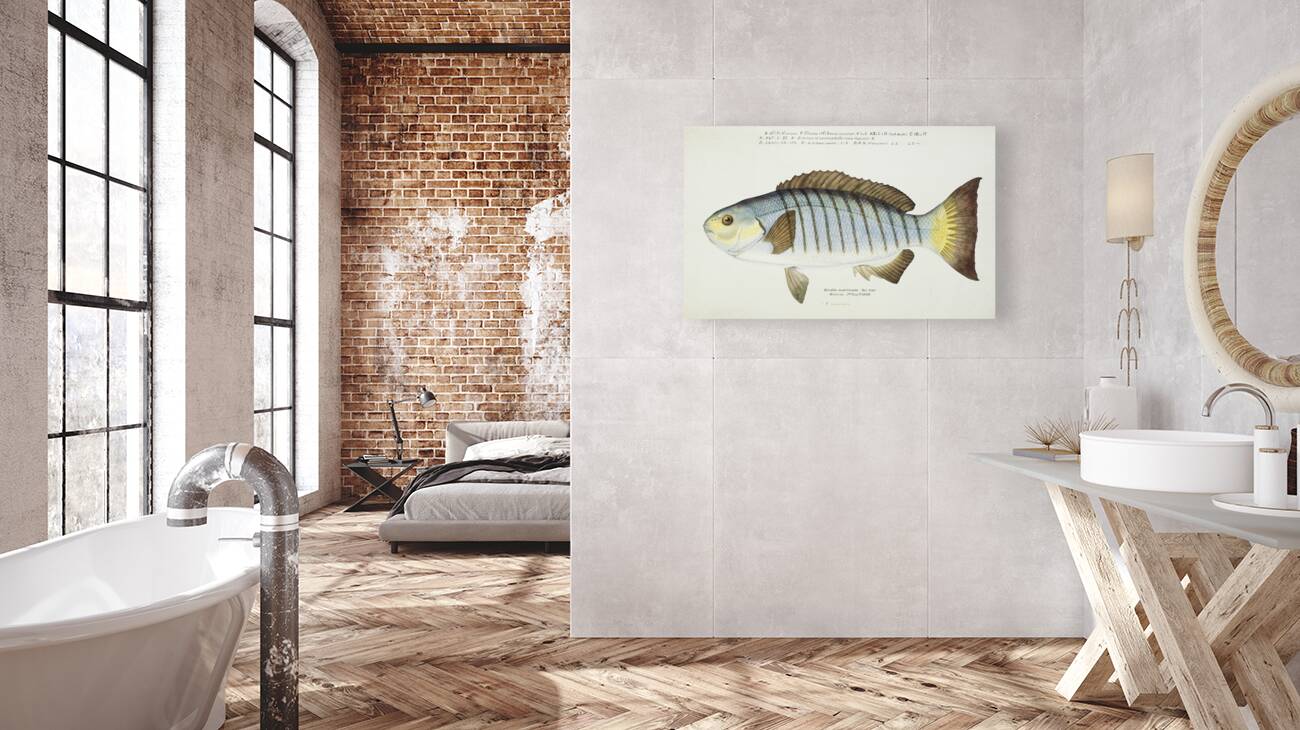 Antique fish Blackfish South Pacific Fishes by Frank Edward Clarke 1849-1899.  Reproduction