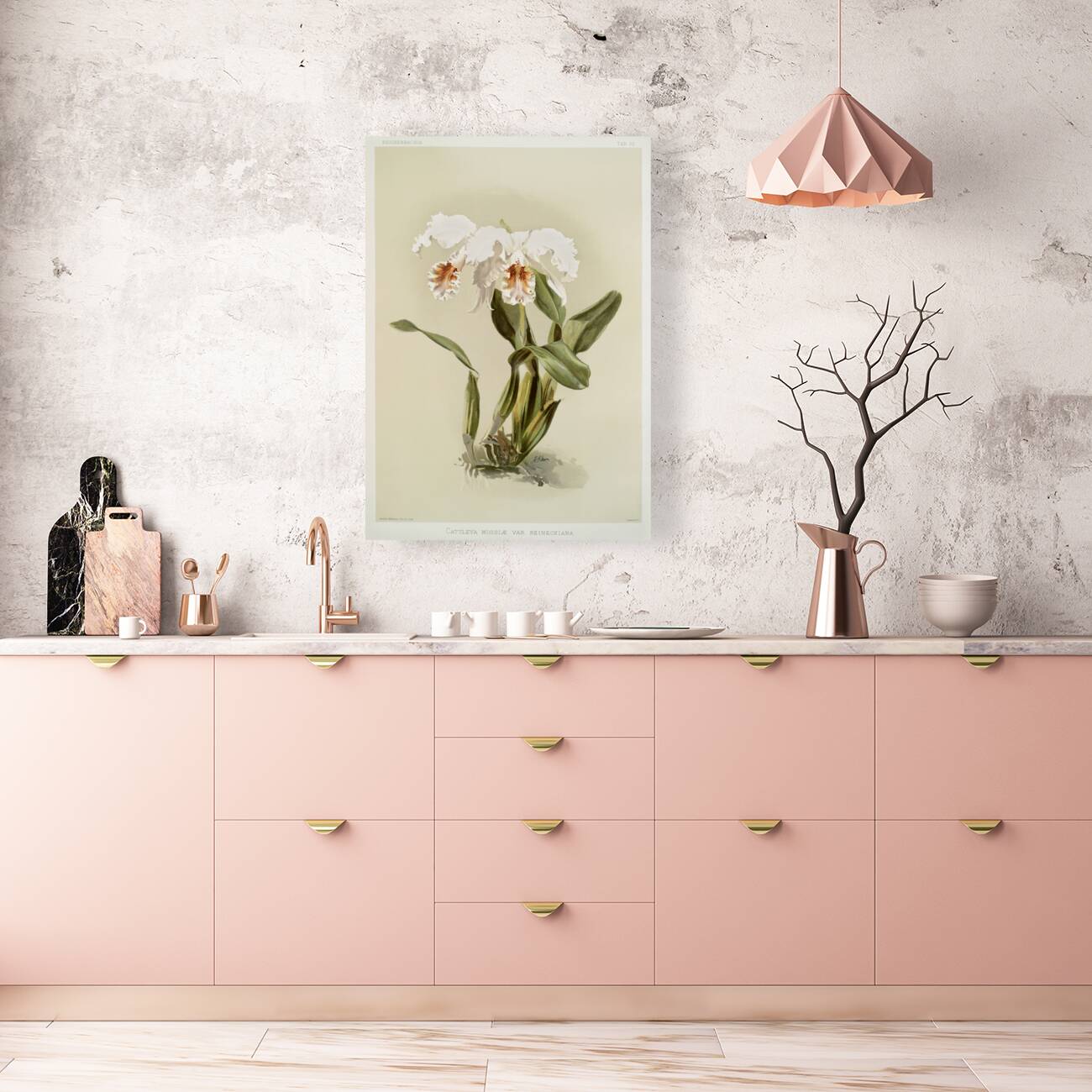 Cattleya mossiæ var reineckiana from Reichenbachia Orchids 1888-1894 illustrated by Frederick Sander 1847-1920.  Reproduction